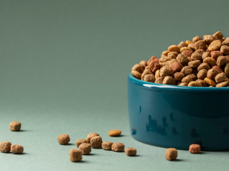 still-life-pet-food-composition